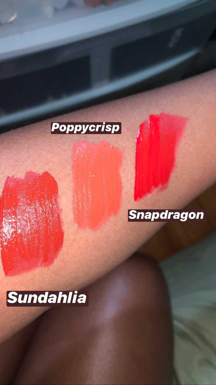 Ultra Matte Liquid Lipstick